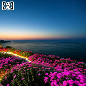 ^yXg[ CeA  C [bp CO l I[Vr[ ][g Ri ^bgNX  Bewi