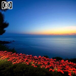 ^yXg[ CeA  C [bp CO l I[Vr[ ][g Ri ^bgNX  Bewi