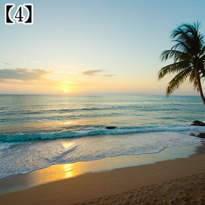 ^yXg[ CeA  C CO T[t nC I[Vr[ ][g Ri  ^bgNX  Bewi