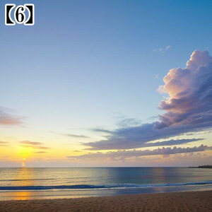 ^yXg[ CeA  C CO T[t nC I[Vr[ ][g Ri  ^bgNX  Bewi