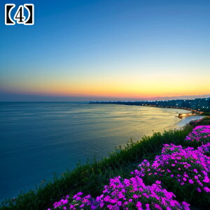 ^yXg[ CeA  C [bp CO l I[Vr[ ][g Ri ^bgNX  Bewi