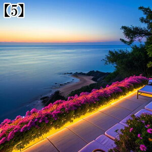 ^yXg[ CeA  C [bp CO l I[Vr[ ][g Ri ^bgNX  Bewi