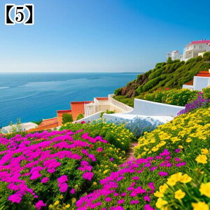 ^yXg[ CeA  C [bp Tg[j Ri  t ][g ^bgNX  Bewi