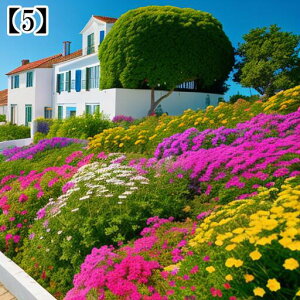 ^yXg[ CeA  C [bp Tg[j Ri  t ][g ^bgNX  Bewi