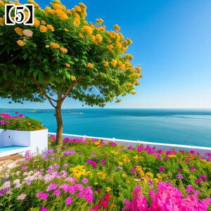 ^yXg[ CeA  C [bp ][g Ri  t ^bgNX  Bewi