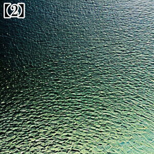 ^yXg[ CeA  C R    F  ^bgNX  ߁`唻 Bewi