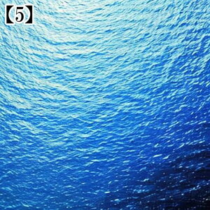 ^yXg[ CeA  C R    F  ^bgNX  ߁`唻 Bewi