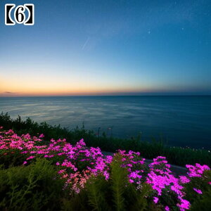 ^yXg[ CeA  C [bp CO l I[Vr[ ][g Ri ^bgNX  Bewi