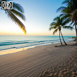 ^yXg[ CeA  C CO T[t nC I[Vr[ ][g Ri  ^bgNX  Bewi