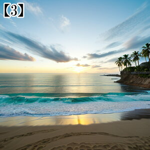 ^yXg[ CeA  C CO T[t nC I[Vr[ ][g Ri  ^bgNX  Bewi