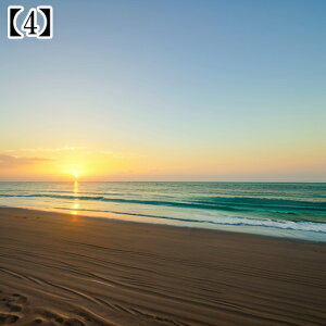 ^yXg[ CeA  C CO T[t nC I[Vr[ ][g Ri  ^bgNX  Bewi