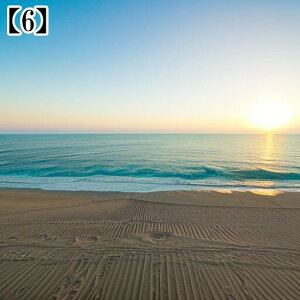 ^yXg[ CeA  C CO T[t nC I[Vr[ ][g Ri  ^bgNX  Bewi