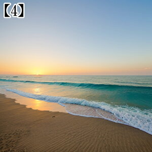 ^yXg[ CeA  C CO T[t nC I[Vr[ ][g Ri  ^bgNX  Bewi