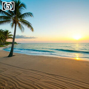 ^yXg[ CeA  C CO T[t nC I[Vr[ ][g Ri ^bgNX  Bewi