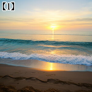 ^yXg[ CeA  C CO T[t nC I[Vr[ ][g Ri ^bgNX  Bewi