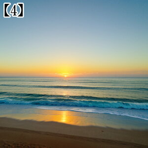 ^yXg[ CeA  C CO T[t nC I[Vr[ ][g Ri ^bgNX  Bewi