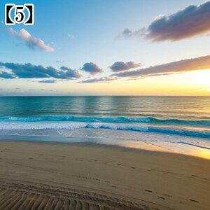 ^yXg[ CeA  C CO T[t nC I[Vr[ ][g Ri ^bgNX  Bewi