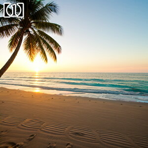 ^yXg[ CeA  C CO T[t nC I[Vr[ ][g Ri ^bgNX  Bewi