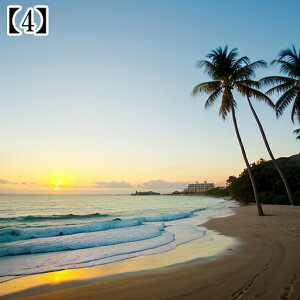 ^yXg[ CeA  C CO T[t nC I[Vr[ ][g Ri ^bgNX  Bewi