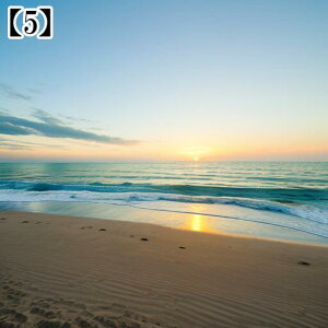 ^yXg[ CeA  C CO T[t nC I[Vr[ ][g Ri ^bgNX  Bewi