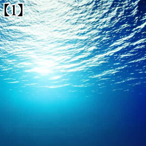 ^yXg[ CeA  C R    F  ^bgNX  ߁`唻 Bewi