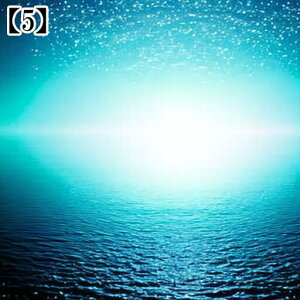 ^yXg[ CeA  C R    F  ^bgNX  ߁`唻 Bewi