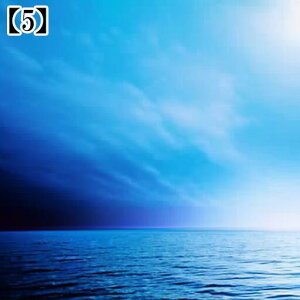 ^yXg[ CeA  C R    F  ^bgNX  ߁`唻 Bewi