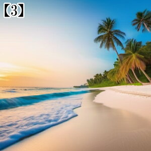 ^yXg[ CeA  C C C  ][gC ^bgNX   ߁`唻 Bewi