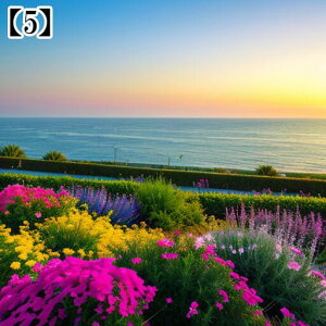 ^yXg[ CeA  C [bp CO l I[Vr[ ][g Ri ^bgNX  Bewi