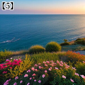 ^yXg[ CeA  C [bp CO l I[Vr[ ][g Ri ^bgNX  Bewi