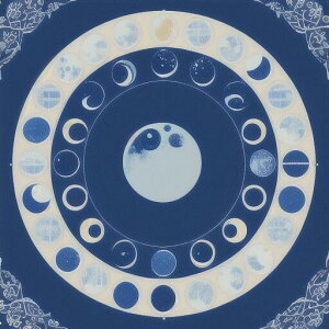 ^bgNX   u[ zXR[vX  唻  20cm`120cm  ^yXg[ CeA `Ci  EH[A[g ` 肢 ObY