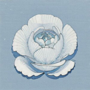 �^���b�g�N���X tarot �肢 �_��I �^�y�X�g���[ ������� �Ւd �B�e�w�i �����` �O�b�Y �A�N�Z�T���[ �� �� �� �� �~ �͗l �w�i ���� �~�` ���[�X �� �C���X�g �A�[�g �f�U�C�� �A��