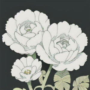 ^bgNX tarot 肢 _I ^yXg[  Ւd Bewi ` ObY ANZT[   sN D  j  q   ̎   z F z  P 