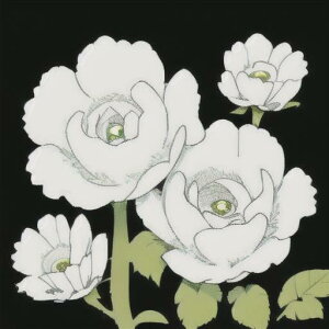 ^bgNX tarot 肢 _I ^yXg[  Ւd Bewi ` ObY ANZT[   sN D  j  q   ̎   z F z  P 