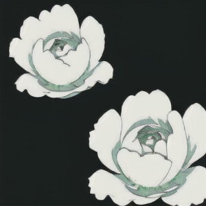 ^bgNX tarot 肢 _I ^yXg[  Ւd Bewi ` ObY ANZT[   sN D  j  q   ̎   z F z  P 