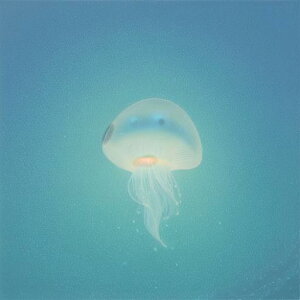 ^bgNX tarot 肢 _I ^yXg[  Ւd Bewi ` ObY ANZT[   sN D  j  q   ̎   z F z  P 