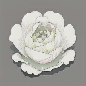 ^bgNX tarot 肢 _I ^yXg[  Ւd Bewi ` ObY ANZT[   sN D  j  q   ̎   z F z  P 