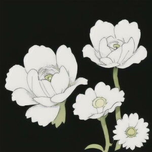 ^bgNX tarot 肢 _I ^yXg[  Ւd Bewi ` ObY ANZT[   sN D  j  q   ̎   z F z  P 