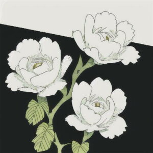 ^bgNX tarot 肢 _I ^yXg[  Ւd Bewi ` ObY ANZT[   sN D  j  q   ̎   z F z  P 