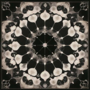 ^bgNX tarot 肢 _I ^yXg[  Ւd Bewi ` ObY ANZT[   sN D  j  q   ̎   z F z  P 