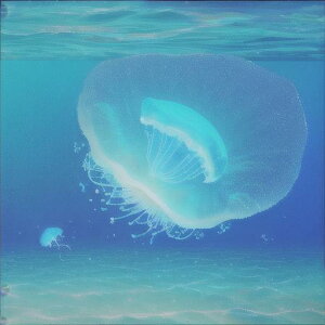 ^bgNX tarot 肢 _I ^yXg[  Ւd Bewi ` ObY ANZT[   sN D  j  q   ̎   z F z  P 