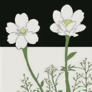 ^bgNX tarot 肢 _I ^yXg[  Ւd Bewi ` ObY ANZT[   sN D  j  q   ̎   z F z  P 