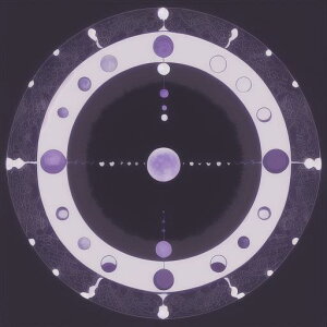 ^bgNX tarot 肢 _I ^yXg[  Ւd Bewi ` ObY ANZT[    Vw T[N tF[Y ͗l