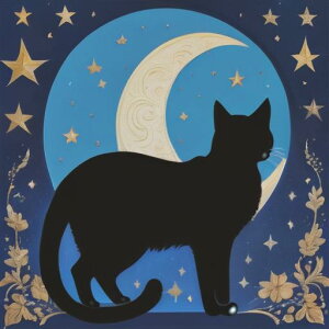 ^bgNX tarot 肢 _I ^yXg[  Ւd Bewi ` ObY ANZT[   x[W   L  z