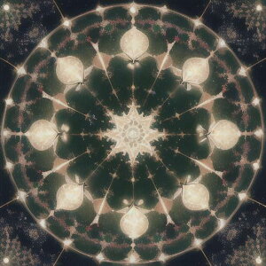 ^bgNX tarot 肢 _I ^yXg[  Ւd Bewi ` ObY ANZT[   O[ ̎ ͗l Vg[ A[g 