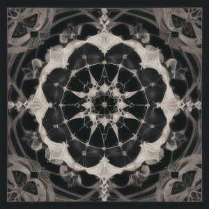 ^bgNX tarot 肢 _I ^yXg[  Ւd Bewi ` ObY ANZT[   O[ ̎ ͗l Vg[ |p 