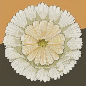 ^bgNX tarot 肢 _I ^yXg[  Ւd Bewi ` ObY ANZT[  IW x[W  A R K[fjO 