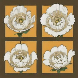 ^bgNX tarot 肢 _I ^yXg[  Ւd Bewi ` ObY ANZT[  IW x[W  A[g  R A