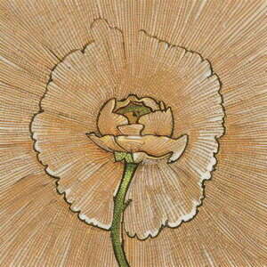 ^bgNX tarot 肢 _I ^yXg[  Ւd Bewi ` ObY ANZT[  x[W   A 炭 fUC R