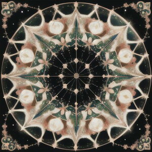 ^bgNX tarot 肢 _I ^yXg[  Ւd Bewi ` ObY ANZT[  sN x[W ̎ ͗l A[g 􉽊w Vg[